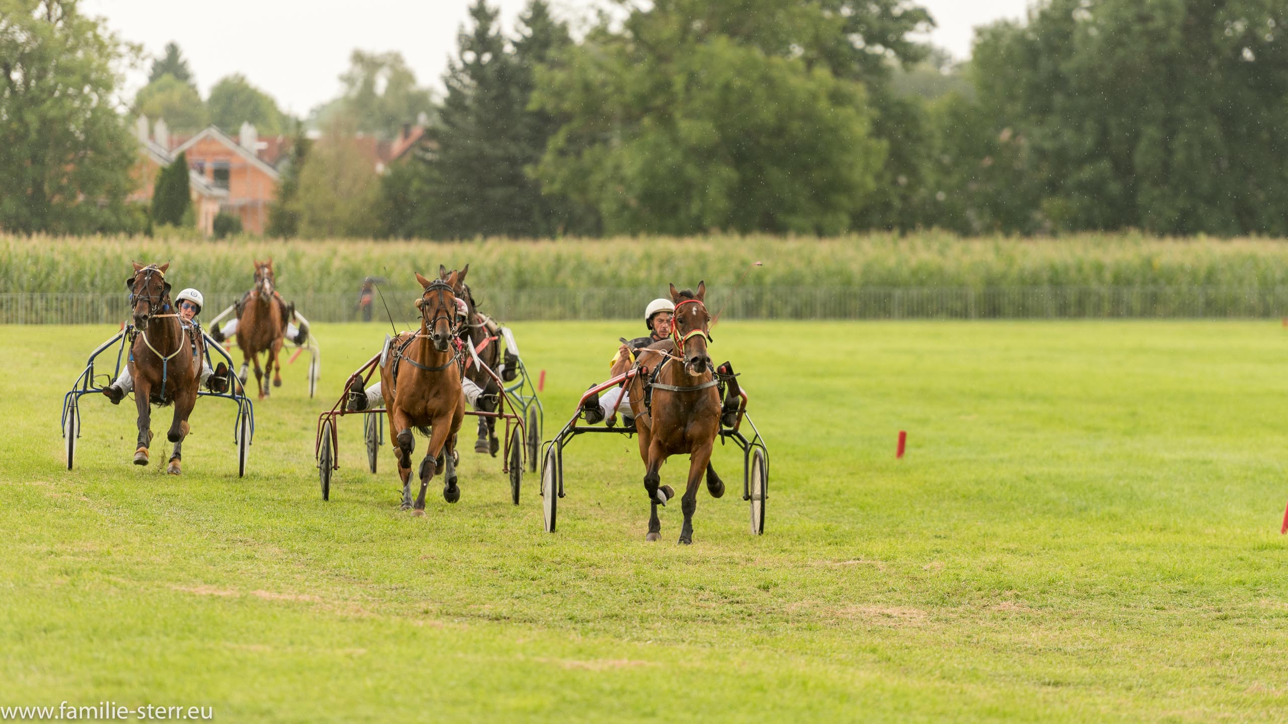 Trabrennen in Erding 2017